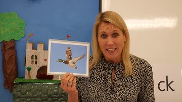 Lesson 39 (part 2) - Reception