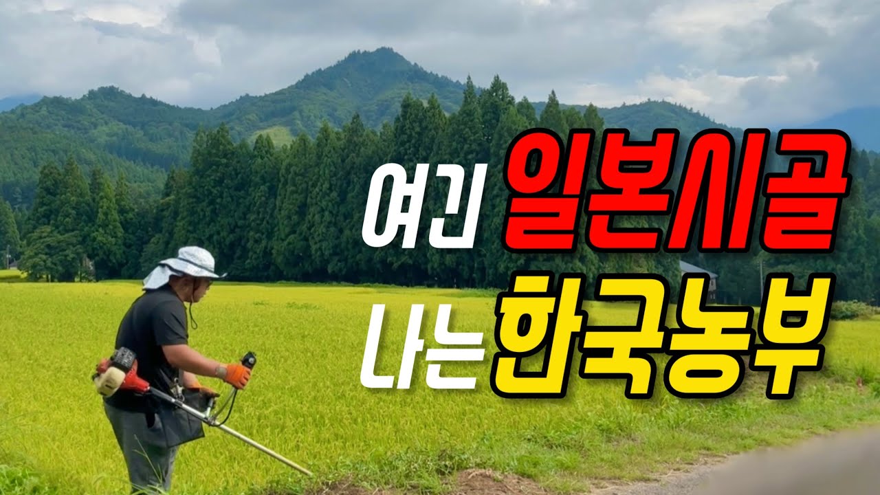 이제는 일본시골이 더 익숙해져버린 한국인