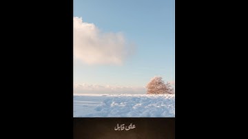 " يوم تبيض وجوهٌ وتسود وجوه "#تلاوة