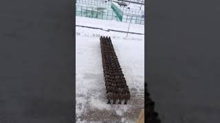 VID 20180308