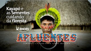 Afluentes Ep01 Os Kayapó E As Sementes - Onde Floresta E Agricultura Vivem Em Harmonia