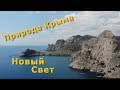 Аэросъемка Новый Свет 2019 Крым | Царский пляж | Голубая и Синяя бухты | Мыс Капчик | Тропа Голицына