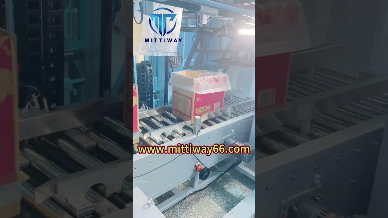 Bag Inserter Machine Nut Packing Machine Melon Seeds Packing Machine