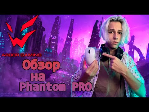 БЫСТРЫЙ ОБЗОР мышки от ARDOR GAMING, Phantom PRO