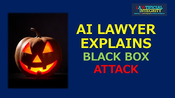 What is an AI Black Box Attack?