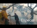 Trabajo de brigadistas en incendio de Nicolas Flores, Hidalgo