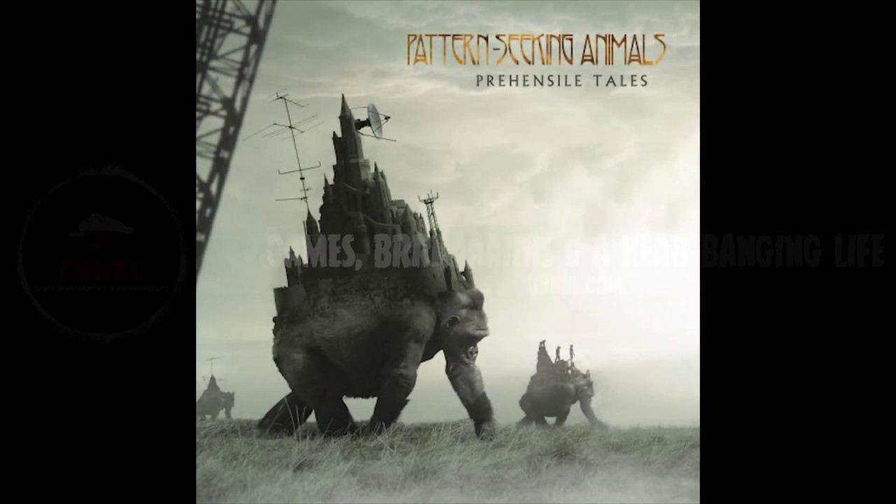 GBHBL Whiplash: Pattern Seeking Animals – Prehensile Tales Review