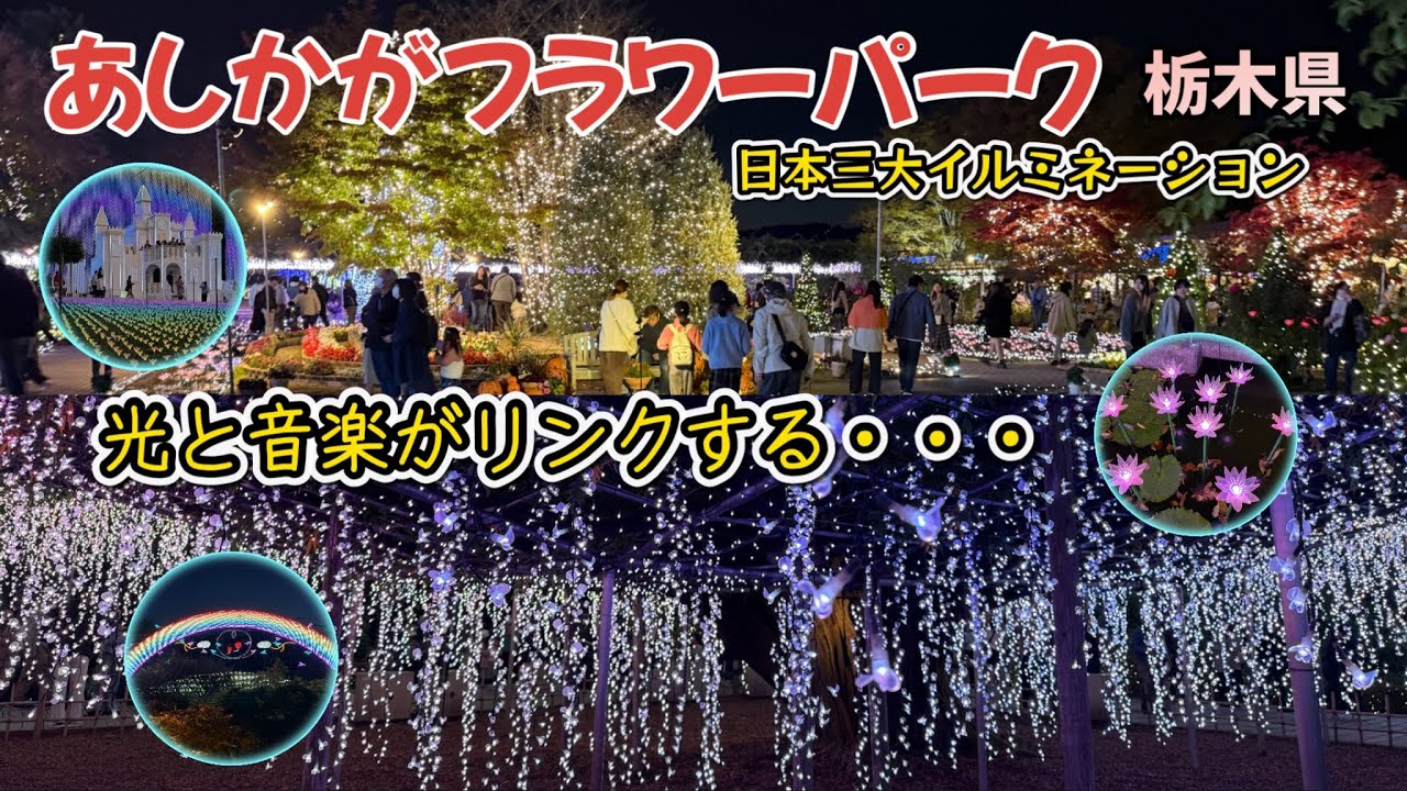 【あしかがフラワーパーク】光・音・香りがリンクする！日本三大イルミネーション