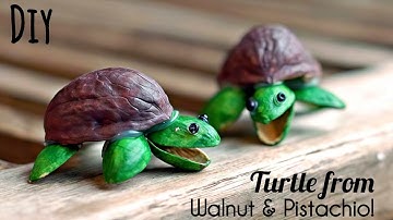 DIY Turtle Using Walnut & Pistachio Shells | Cute & Easy Craft Idea 🐢