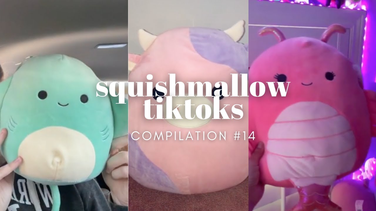 squishmallow tiktok compilation 