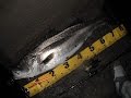 Rapala Original Floater F-13 （at night sound only）