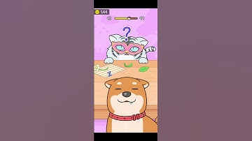 Hide & Seek Cat escape! Gameplay level 43 #hideandseek #catescape #gameplay