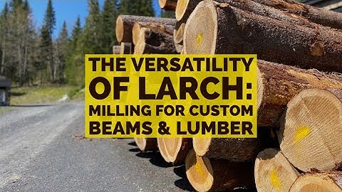 The Versatility of Larch: Milling for Custom Beams & Lumber