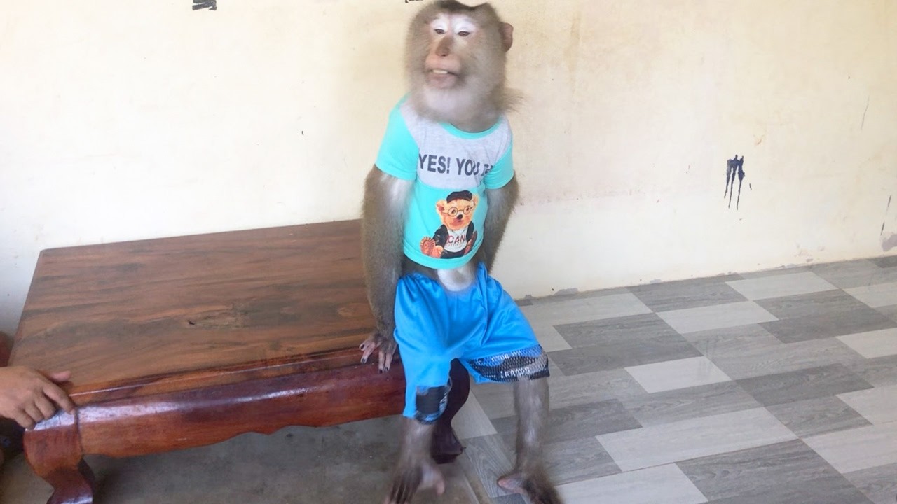 Smart Jason Sit Nonchalant Listen Mom After Ate Sweet