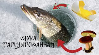 Щука фаршированная. С грибами и варёным яйцом. Щука фаршированная. С грибами и варёным яйцом.