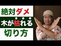 庭木【枯れる】絶対にNGの切り方３つを解説