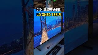 TV 싸게 구매하는 방법! LG QNED 75인치 추천 리뷰 후기