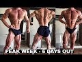 Peak Week Plan, 6 Days Out, Tips For Peak Week and Show Day