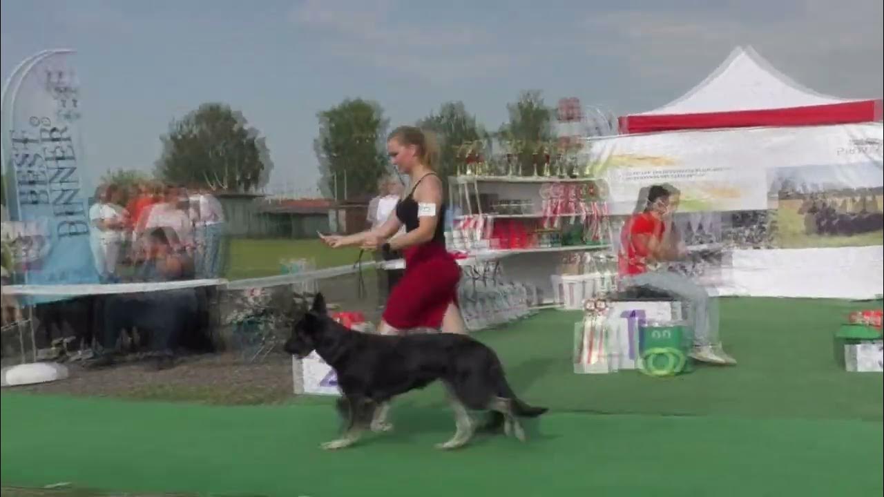 Тимберли - YouTube