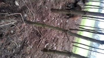 206 online video cutter com