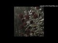 [FREE4NP] hi c x bladee x ripsquadd type beat