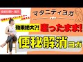 【マタニティヨガ】座ったままできる!便秘解消ヨガ!頑固な便秘にも⭐︎〜妊娠初期から臨月までOK・ヨガ初心者の方・身体が硬い方にもおすすめ〜