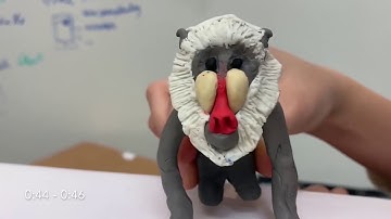 XRDirector (CHI 2020)