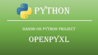 Hands-on Python Openpyxl Project