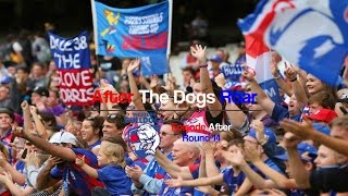 After The Dogs Roar 2016 - Episode After Round 14 Bye Round