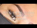 Microblading Aftercare : How to take care of your Microbladed Brows