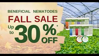 Stop 200  Pests & Save - Beneficial Nematode Fall Sale!