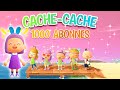 Cachecache gant special 1000 abos  animal crossing new horizons acnh