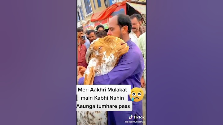 Eid ul Adha Animal 2021 | Cow Tiktok | Cow Lover | Qurbani Eid Janwar | whatsapp status | #Shorts