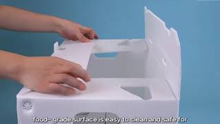 Factory Tour: Premium PP Corrugated Seafood Boxes