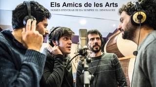 Video L’hivern (que la van abduir) Els Amics De Les Arts