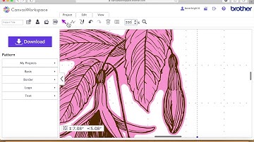 brother scan n cut tutorials Floral series Fuchsia Digi stamp and backing plate