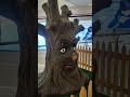 Dancing 🩰 tree 🌴