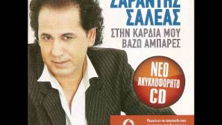 Sarantis Saleas - Stin kardia mou vazo abares (Remix) (New Song 2012)