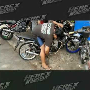 STORY WA TIGER GEDUNG TERKINI