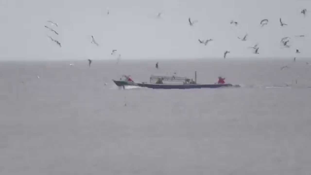 Видеокамера panasonic HC V520 оптическое приближение.