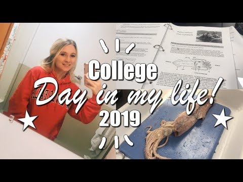 College Day in my Life! | Fall 2019 UW River Falls