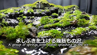 Small waterfall and several springs flowing (Terrarium)