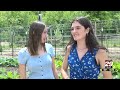 Charlottesville High School urban farming program serves student-grown lettuce in cafeteria