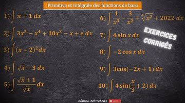 10 INTEGRALES - Calculer une Intégrale indéfinie - Les Fonctions de Base - Première et Terminale.
