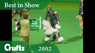 Standard Poodle wins Best in Show at Crufts 2002 | Crufts Dog Show