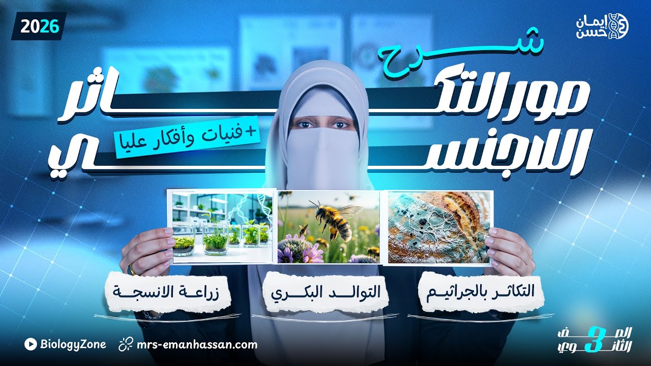 شرح التكاثر بالجراثيم والتوالد البكري وزراعة الأنسجة | احياء تالته ثانوي 2026 | مس إيمان حسن