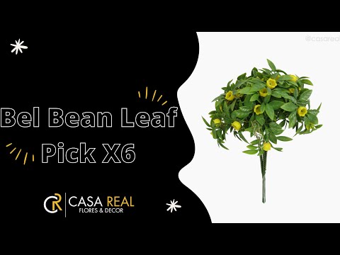 Bel Bean Leaf Pick X6 Artificial - Amarelo (12634)
