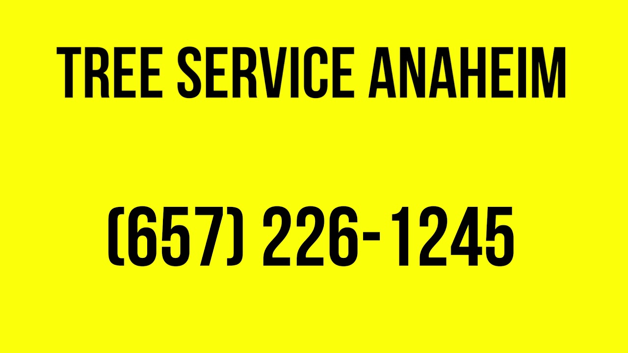 Tree Service Anaheim CA (657) 226-1245