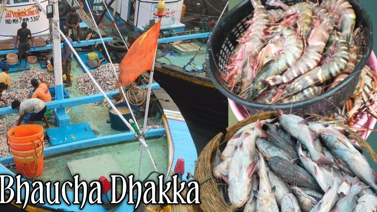 Bhau Cha Dhakka Fish Market मुंबई का सबसे Fish Market Wholesale