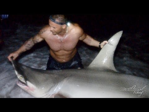 Extreme Beach Shark Fishing!